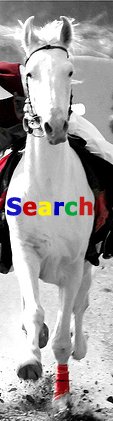 Search is still the biggest horse