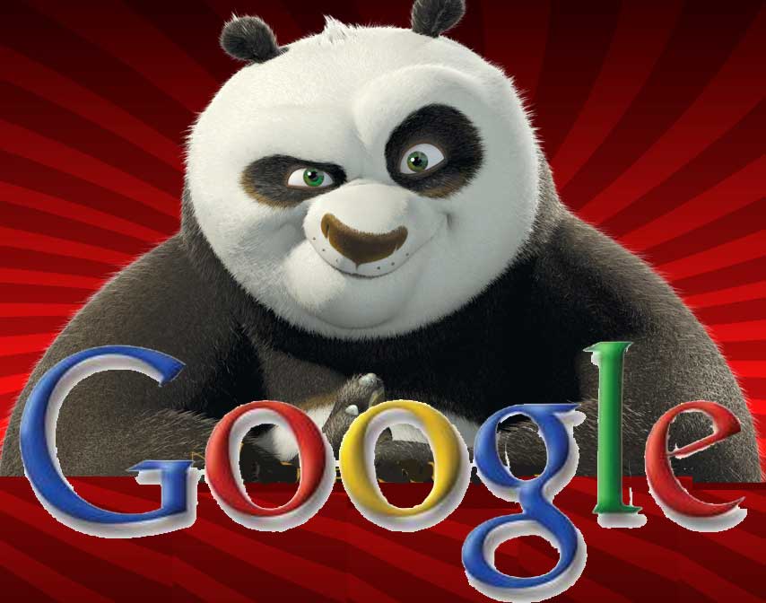 http://seo-hacker.com/wp-content/uploads/2011/03/Google-Panda-Algorithm.jpg