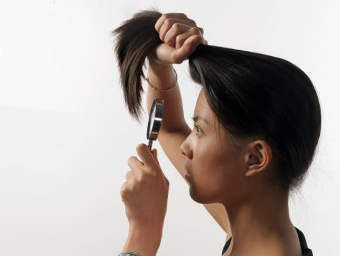 Hair Breakage Net Split Ends Remedies