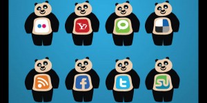 Panda update social media