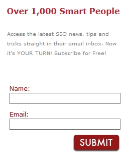 SEO Hacker Email Form