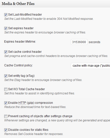 Browser cache Media settings