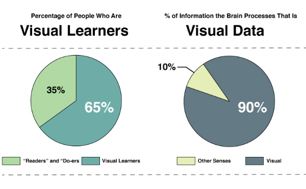 Pie charts depicting the importance of visual learning.