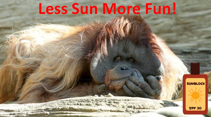 Orangutan Sunblock