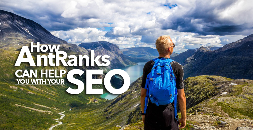 How AntRanks Can Help You With Your SEO