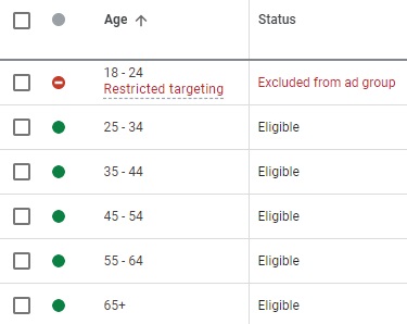 Google Ads Audience Age Group Setting Sample
