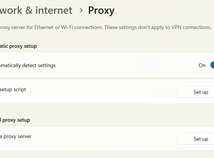 Example of proxy settings on Windows OS